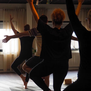 2026-01-14 Prova på Hatha Yoga med Karin