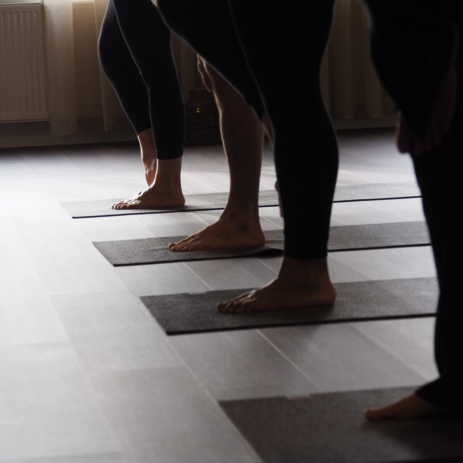 2026-06-24 Mjuk Hatha Yoga