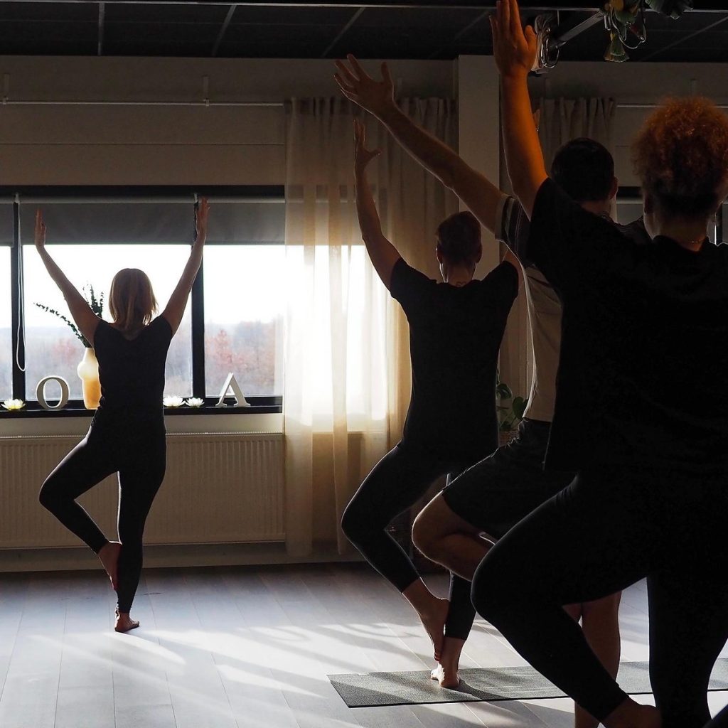 2026-08-17 Yin & Yang Yoga med Eva J